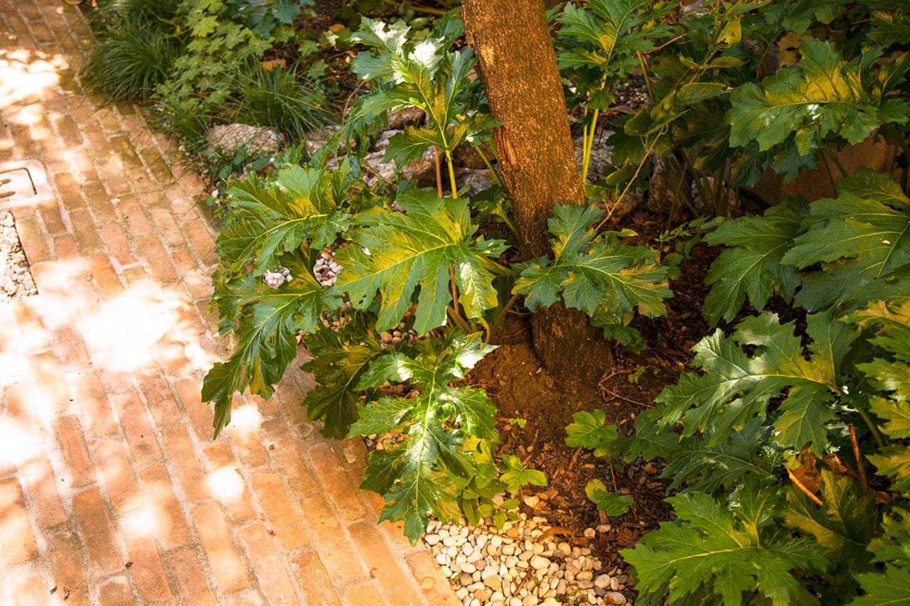 Apartamento Urban Jungle Bolonia Exterior foto